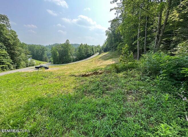 Lot 13 Venado Drive Property Photo 1