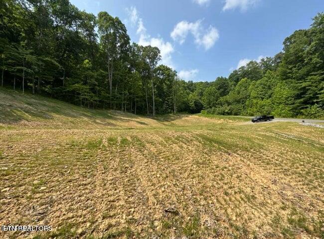 Lot 13 Venado Drive Property Photo 2