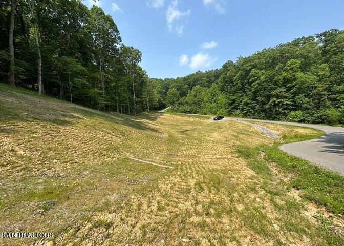 Lot 13 Venado Drive Property Photo 3