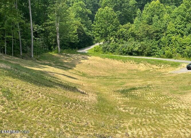 Lot 13 Venado Drive Property Photo 5