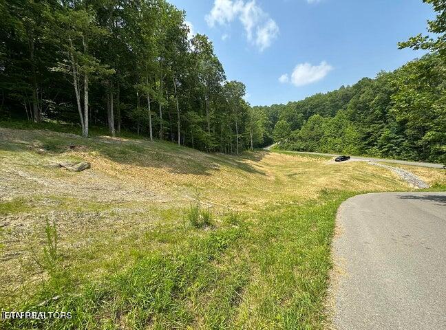 Lot 13 Venado Drive Property Photo 7