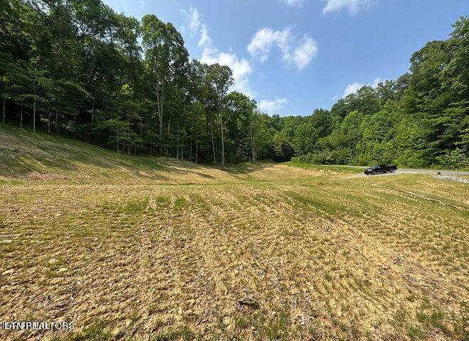 Lot 13 Venado Drive Property Photo 9