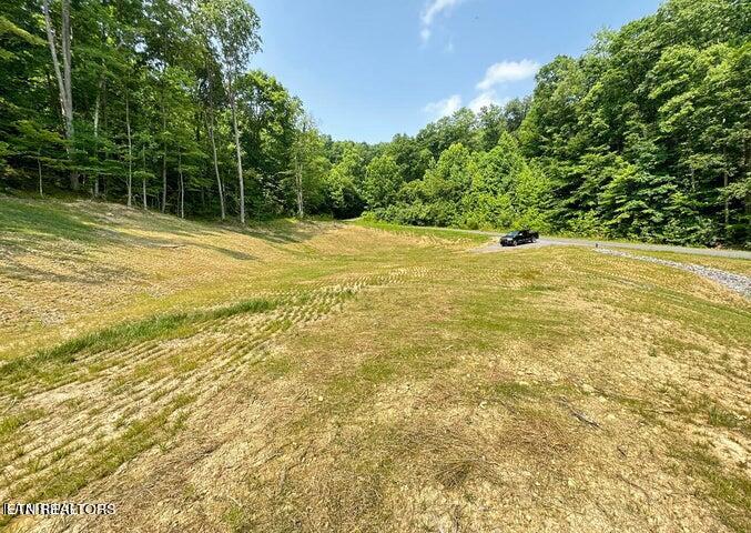 Lot 13 Venado Drive Property Photo 10