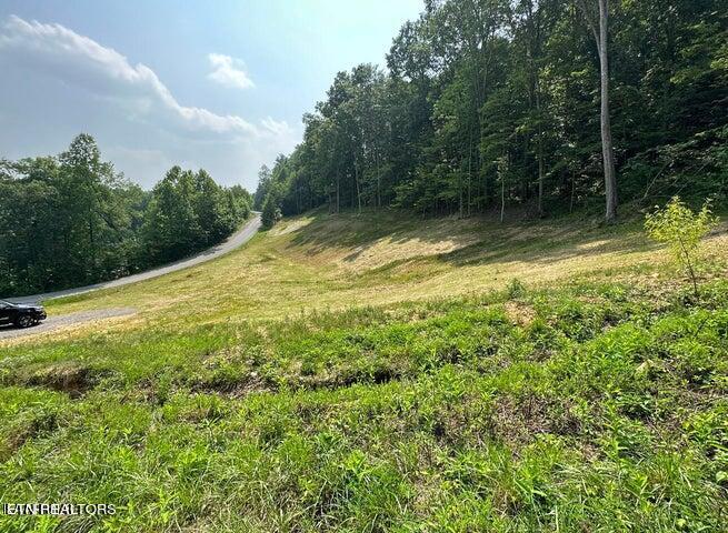 Lot 13 Venado Drive Property Photo 11