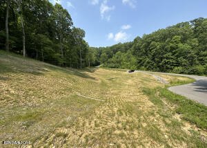 Lot 13 Venado Drive Property Photo 13
