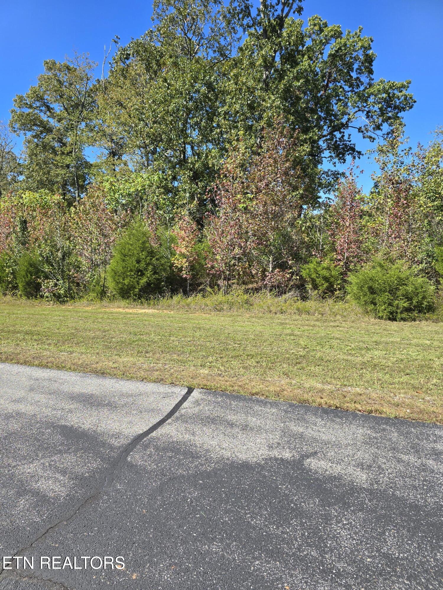 428 Water View Drive Property Photo 20
