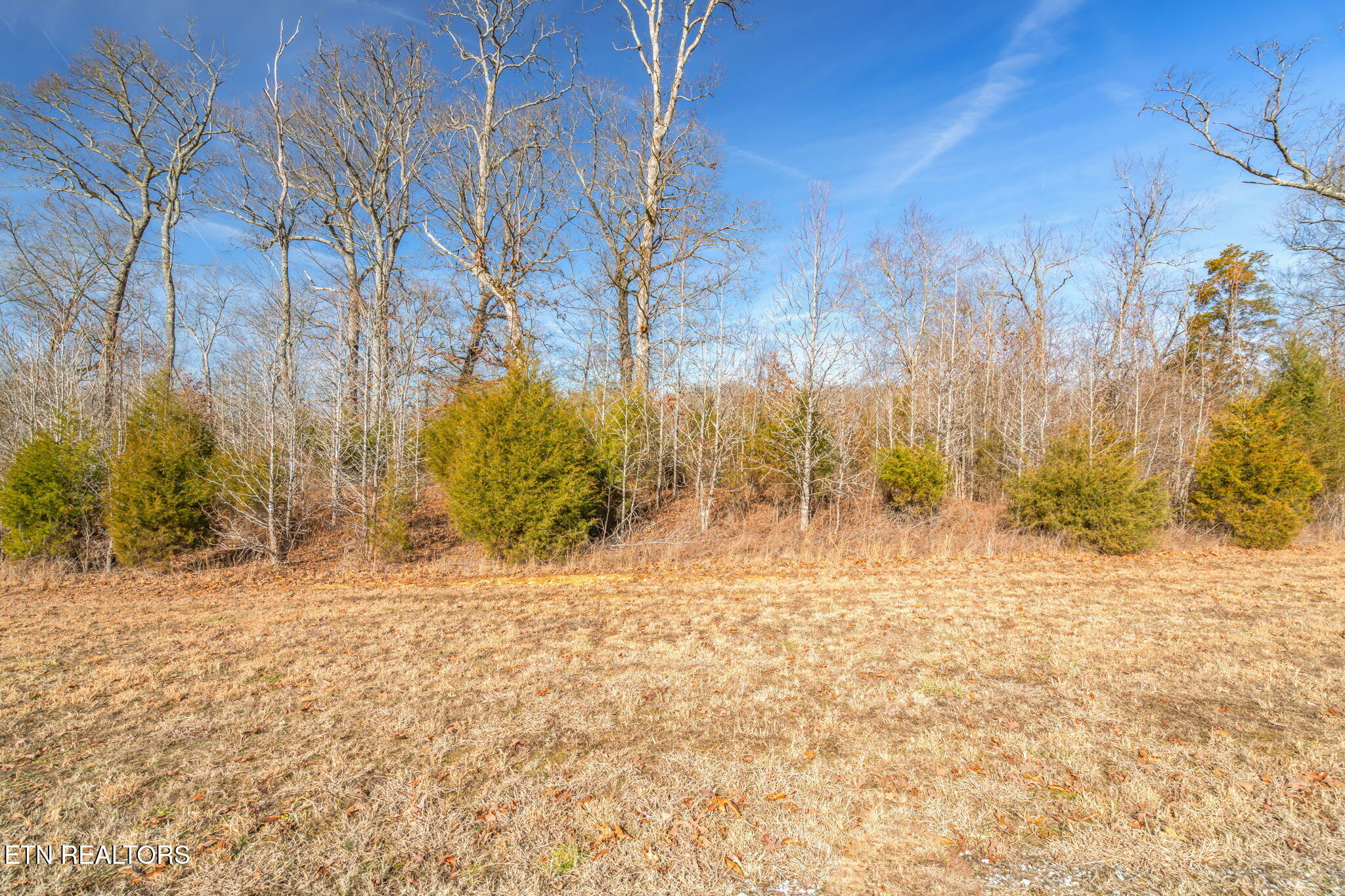 428 Water View Drive Property Photo 29