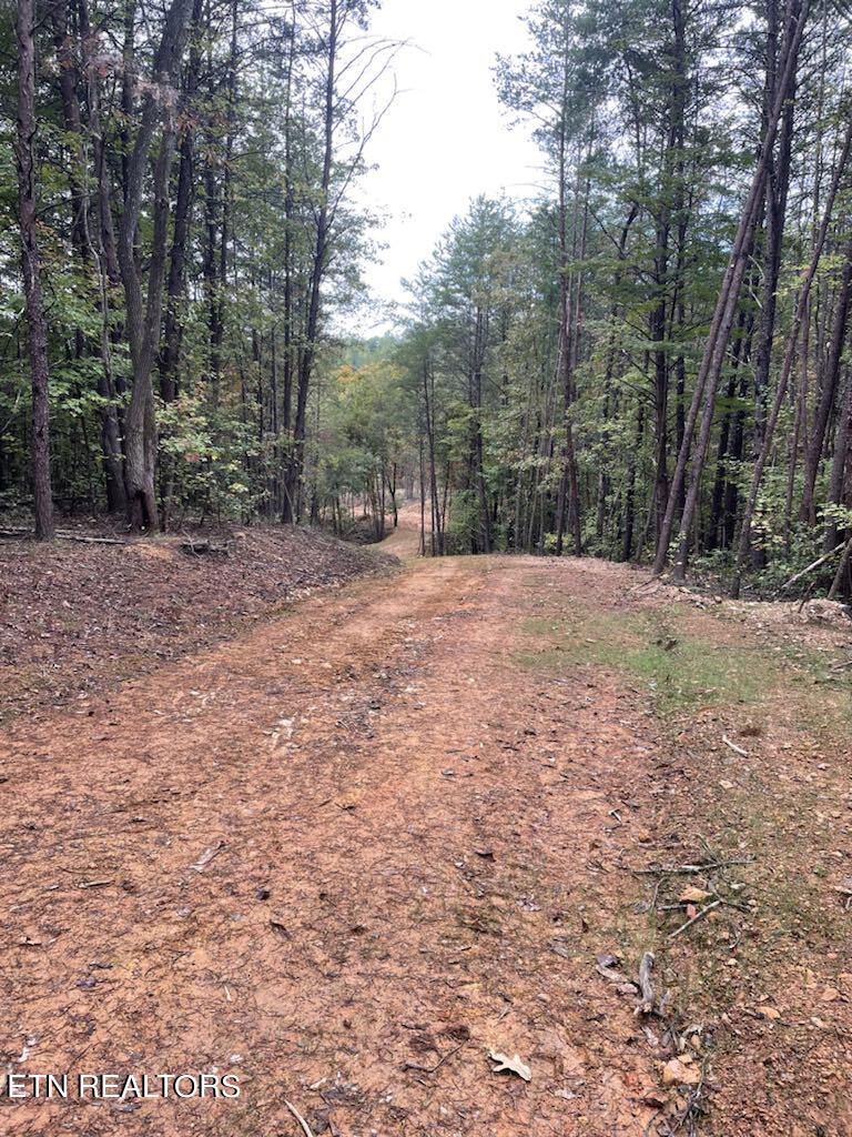 120 Maple Springs Rd Property Photo 2