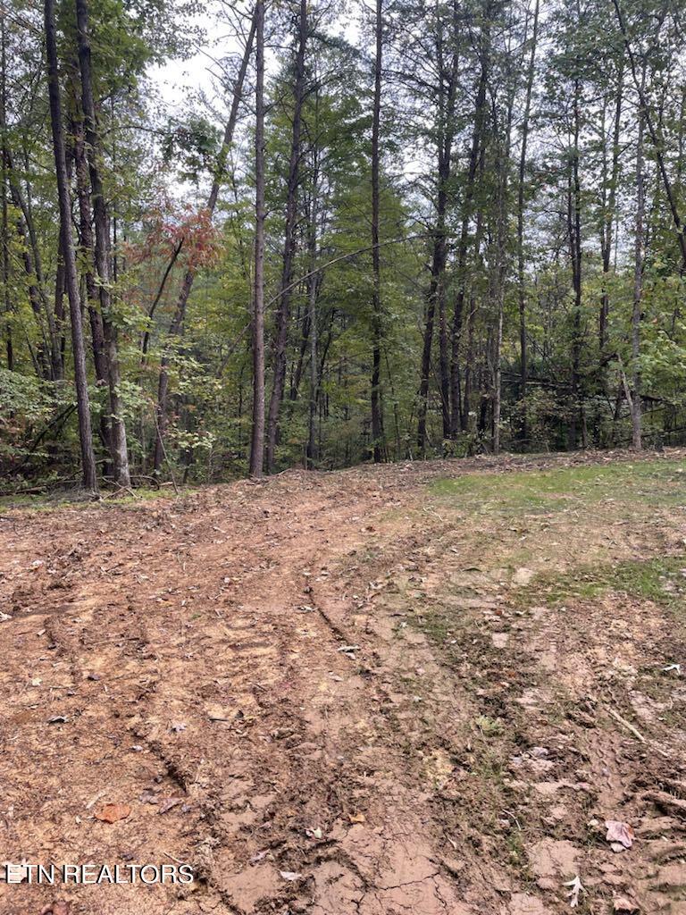 120 Maple Springs Rd Property Photo 5