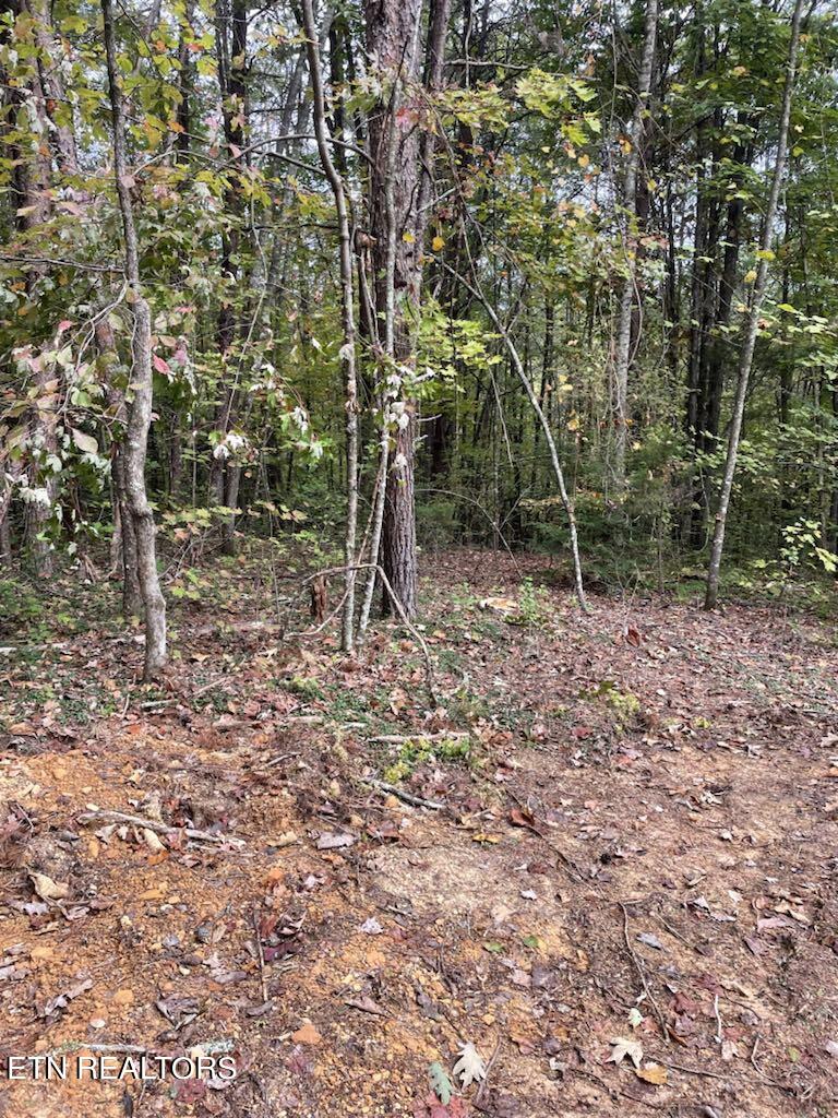 120 Maple Springs Rd Property Photo 6