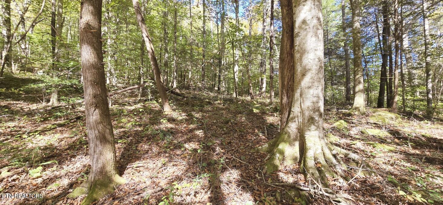 Lower Capuchin Drive Property Photo 8