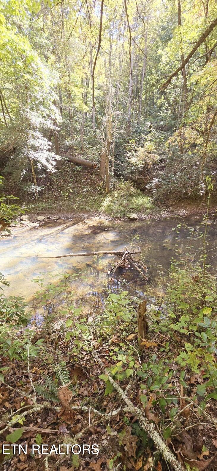 Lower Capuchin Drive Property Photo 10