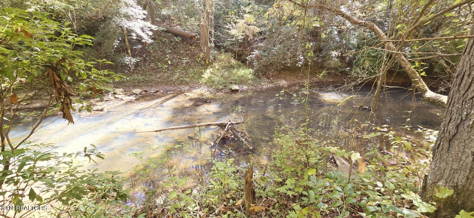 Lower Capuchin Drive Property Photo 11