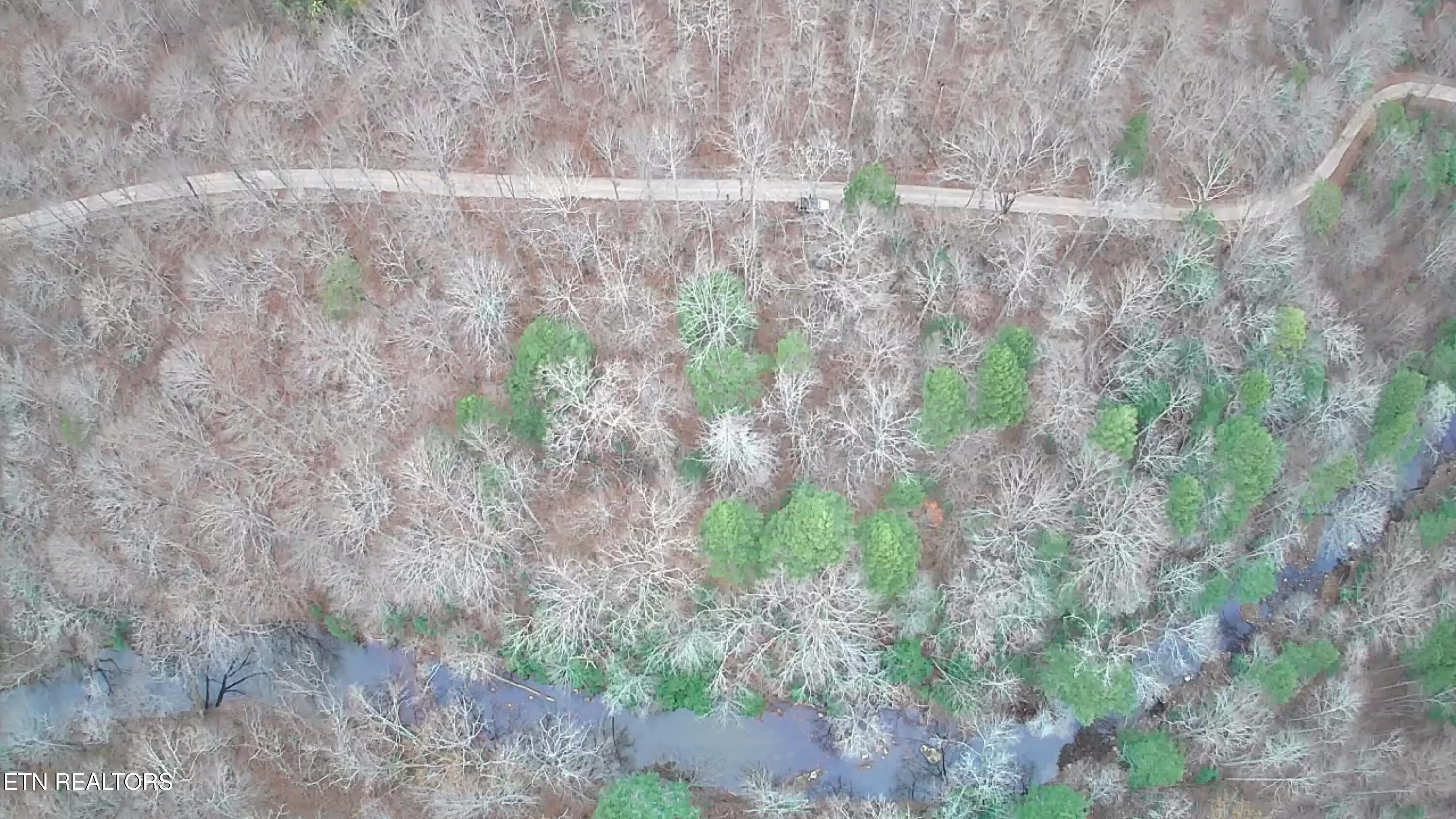 Lower Capuchin Drive Property Photo 17