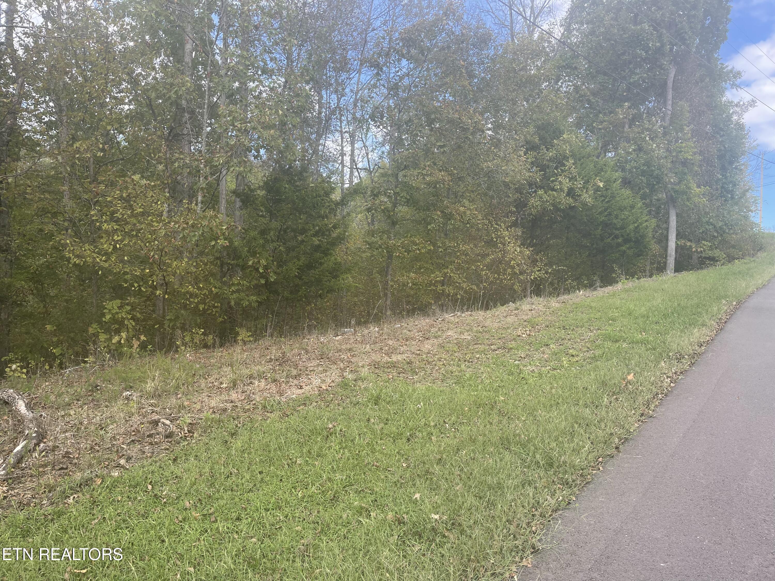 Lot 14 Spotted Fawn Lane Property Photo 1