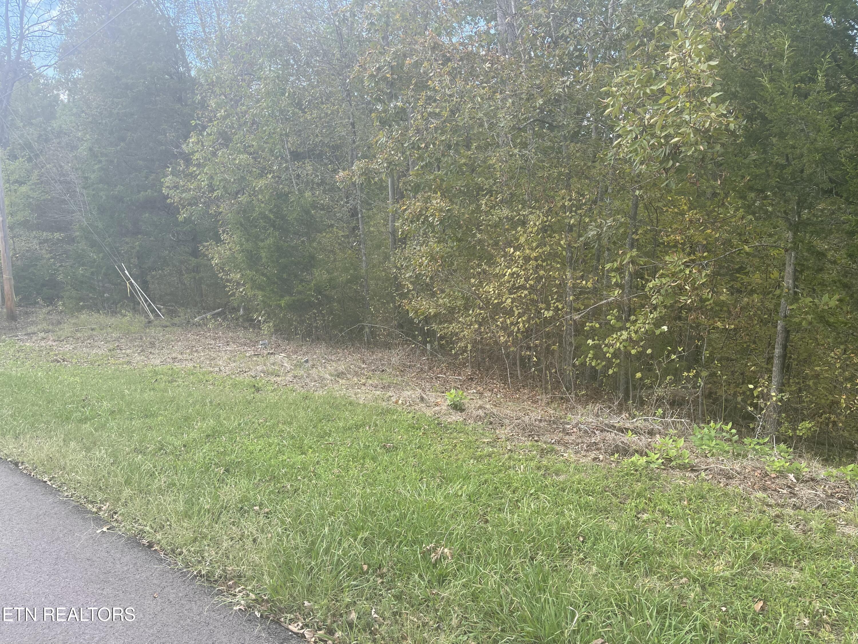 Lot 14 Spotted Fawn Lane Property Photo 2