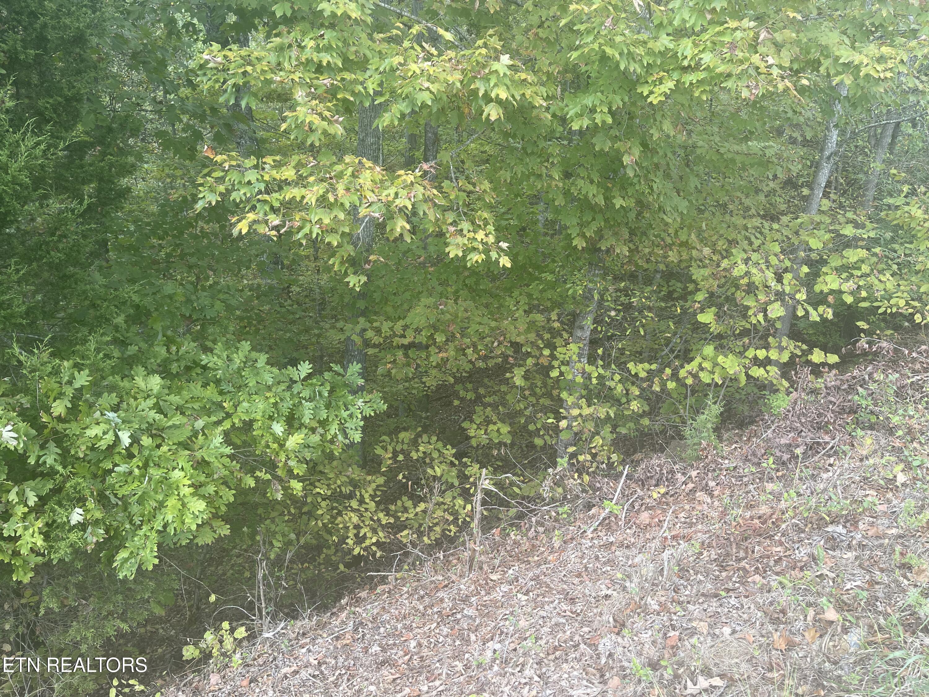 Lot 14 Spotted Fawn Lane Property Photo 3