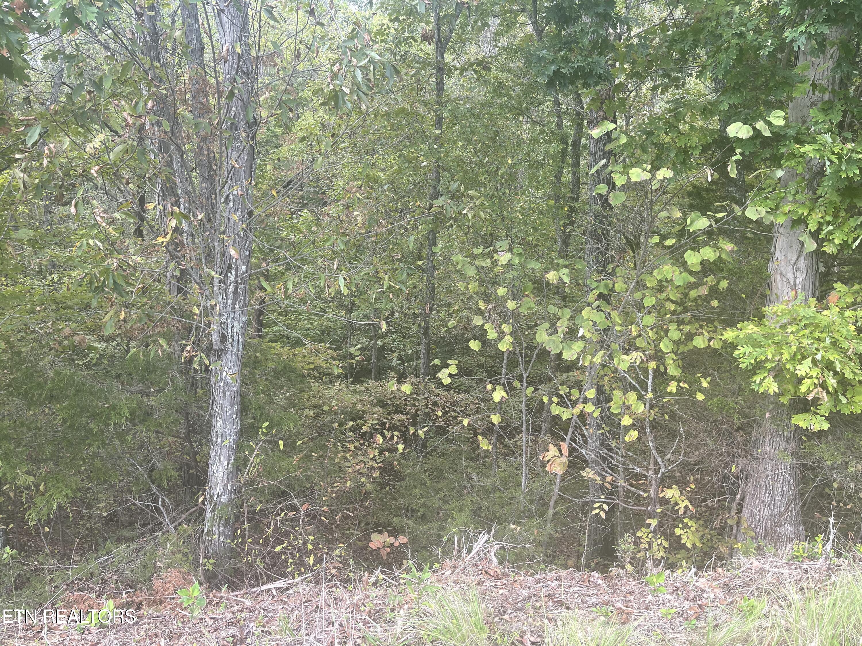 Lot 14 Spotted Fawn Lane Property Photo 5