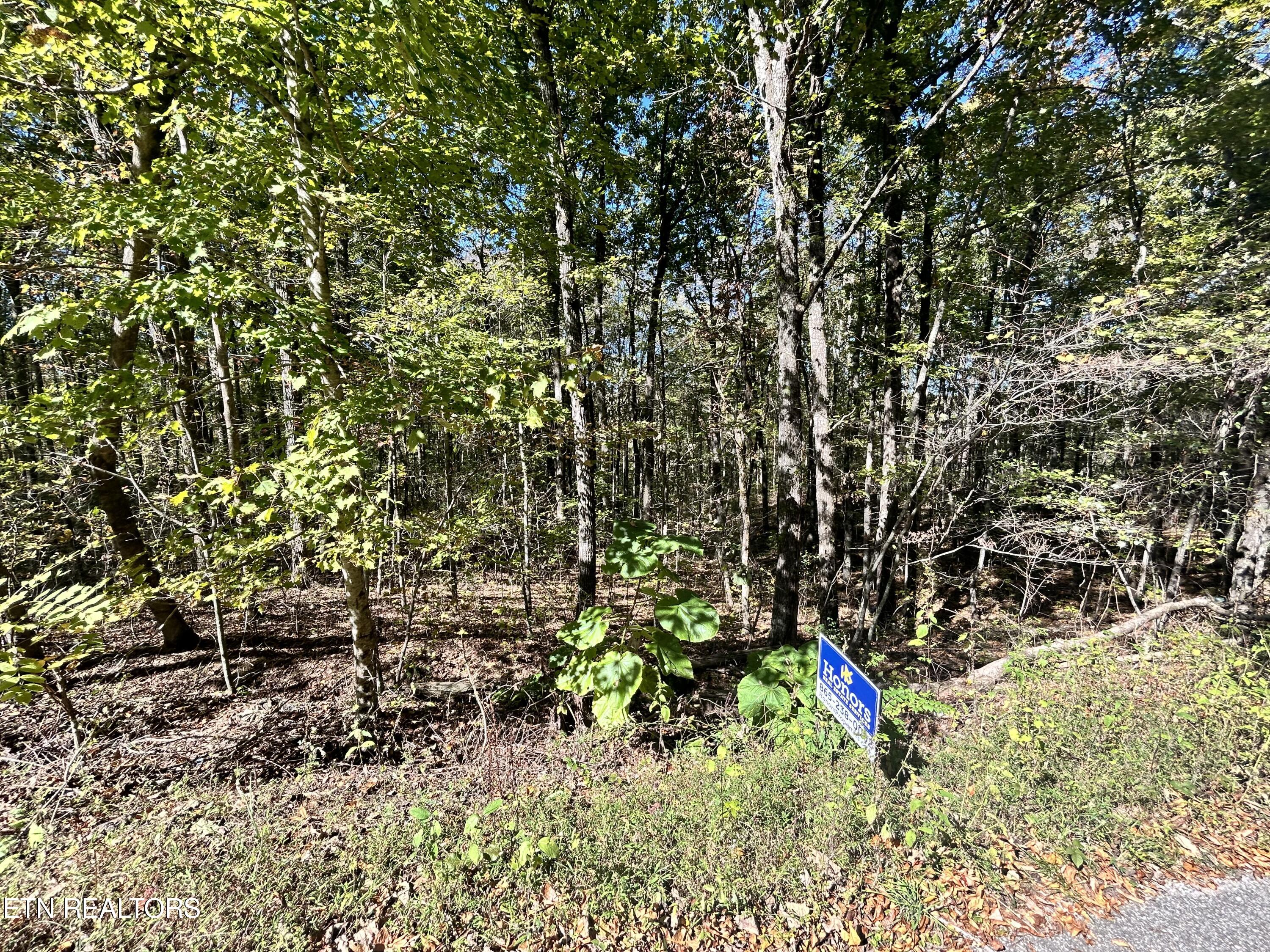 Siever Rd Property Photo 3