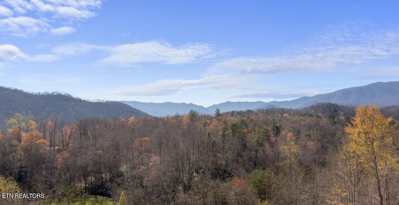 Running Bear Rd Property Photo 3