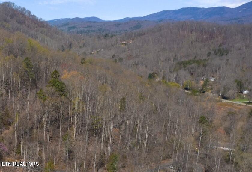 Running Bear Rd Property Photo 7