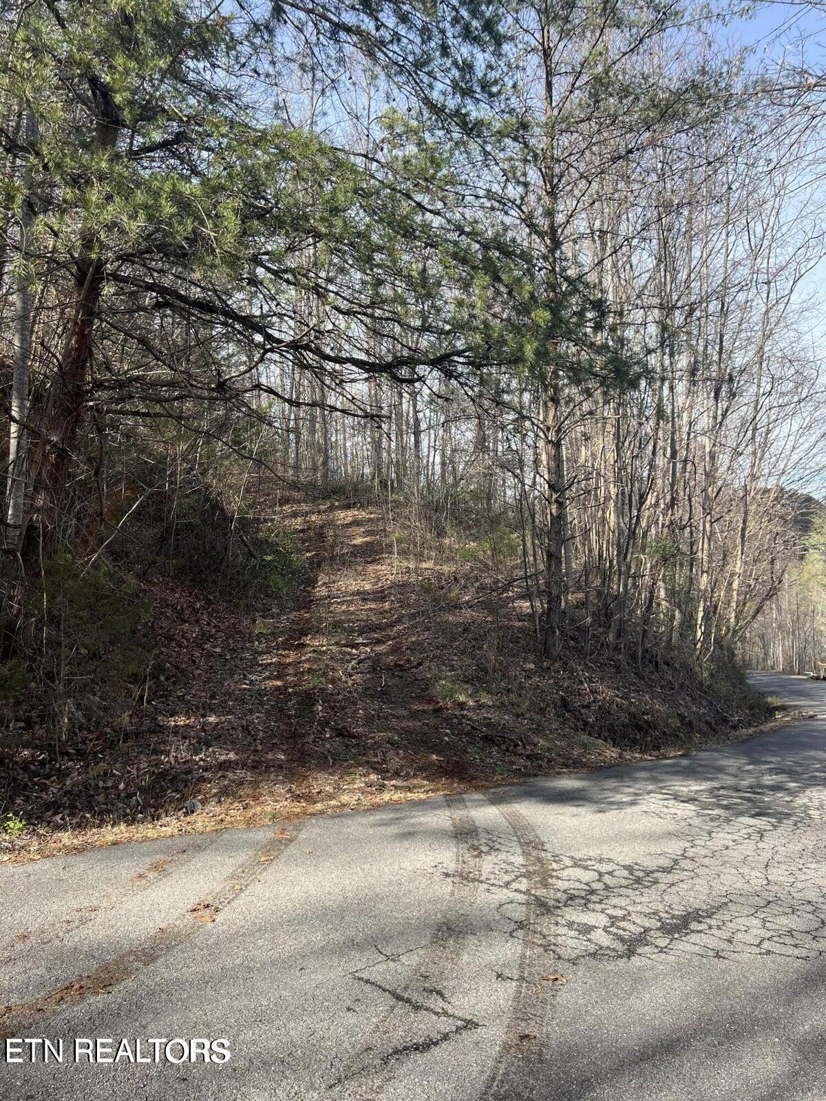 Running Bear Rd Property Photo 8