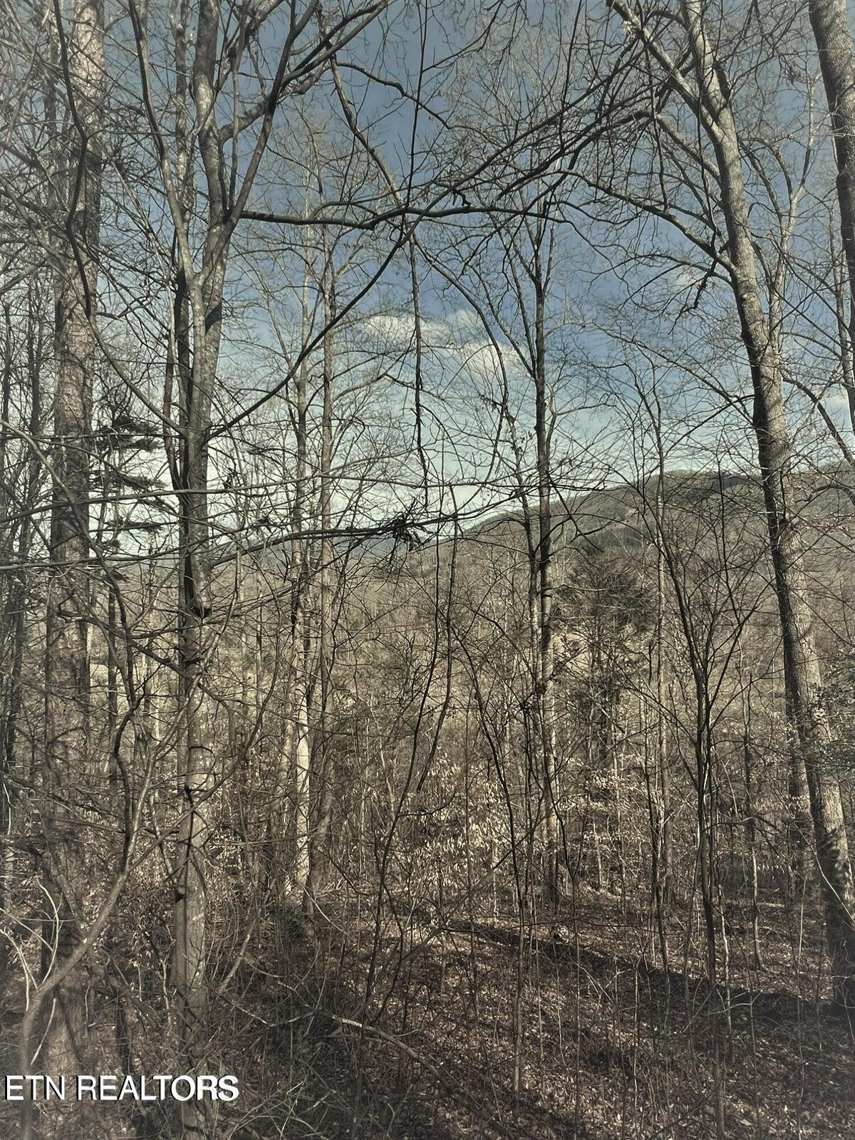 Running Bear Rd Property Photo 11