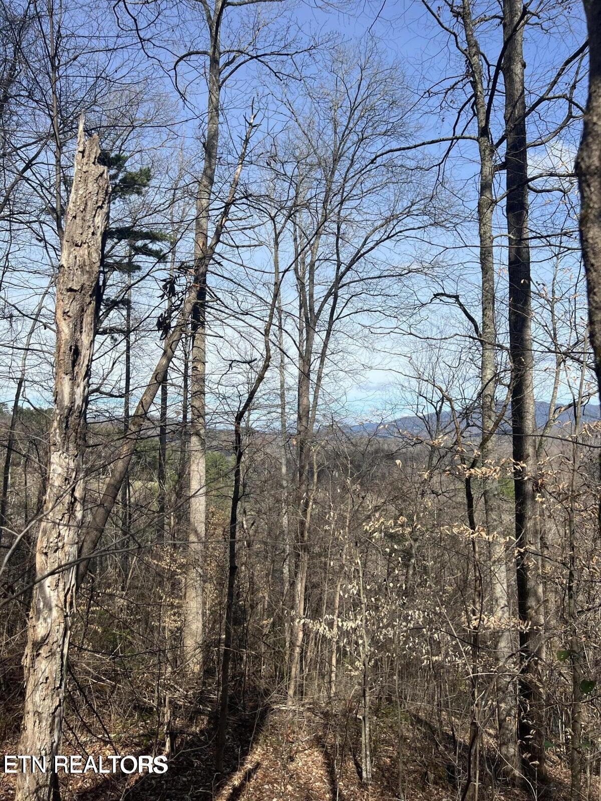 Running Bear Rd Property Photo 12