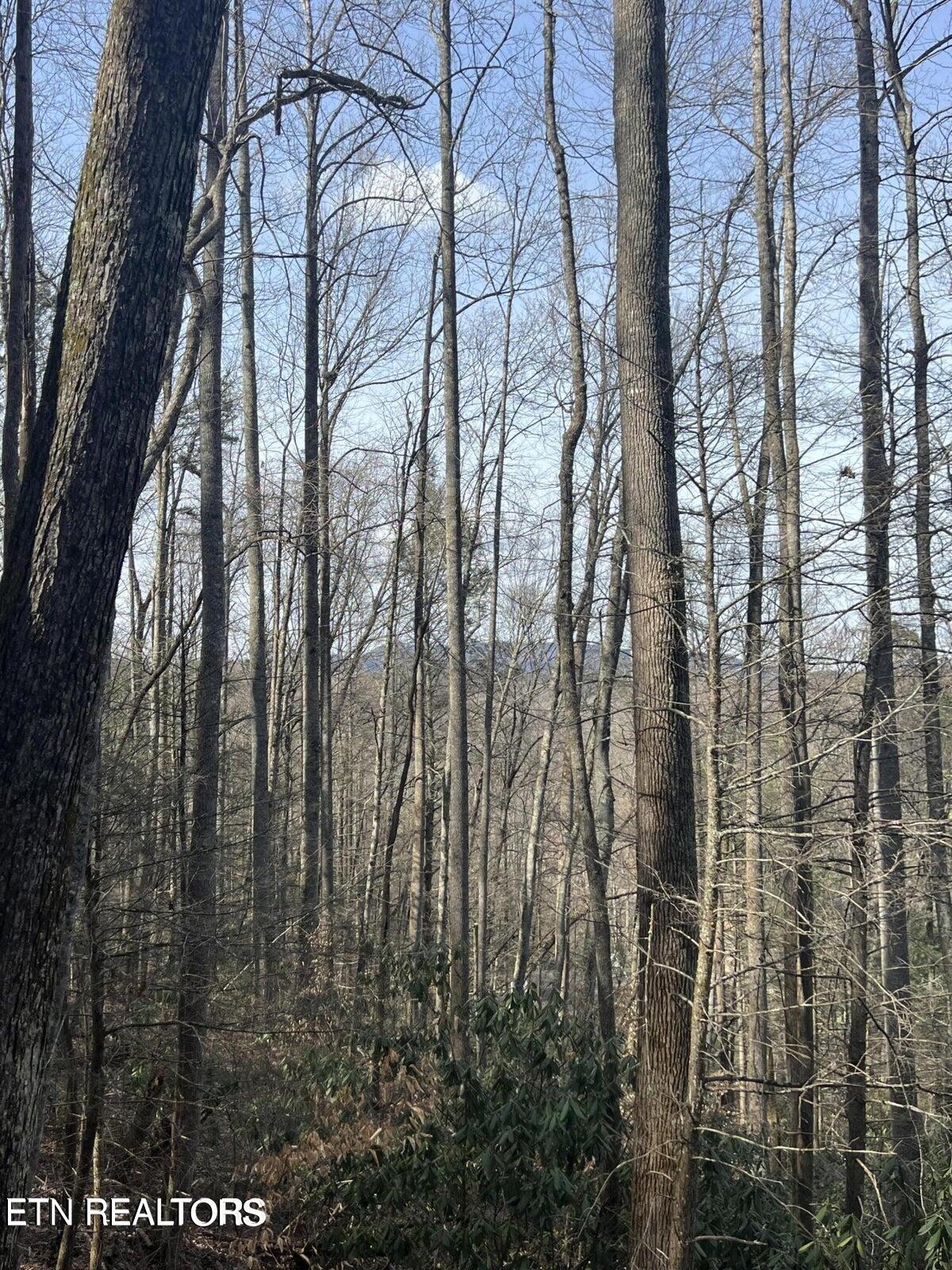 Running Bear Rd Property Photo 13