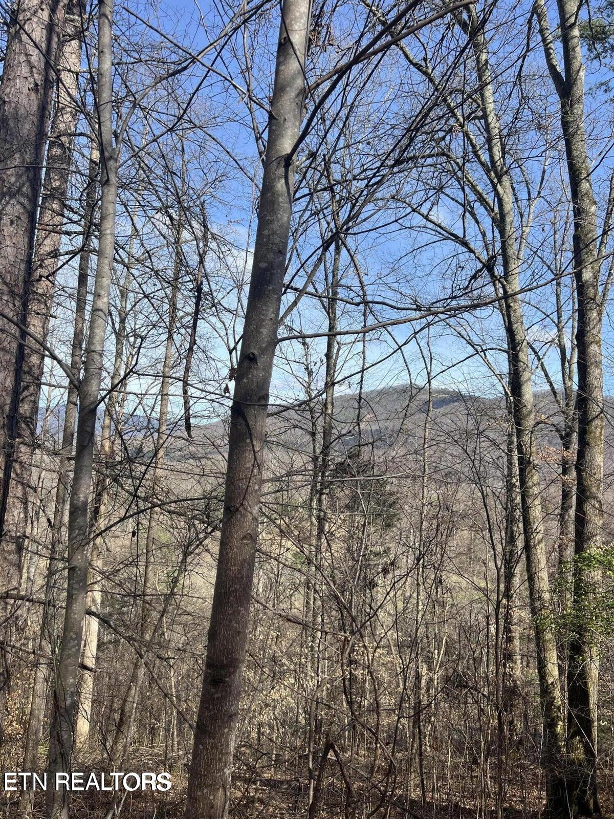 Running Bear Rd Property Photo 15