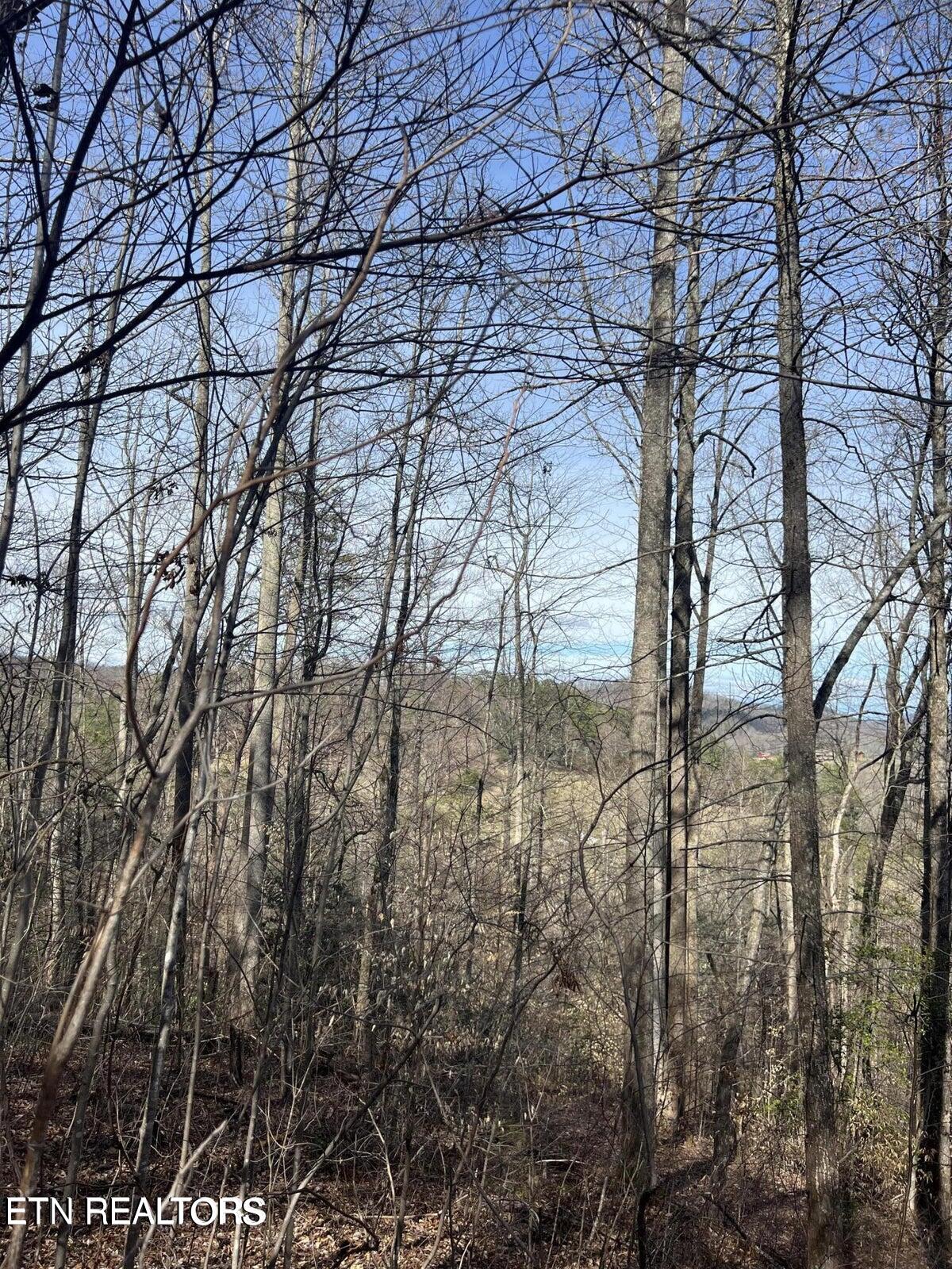 Running Bear Rd Property Photo 17