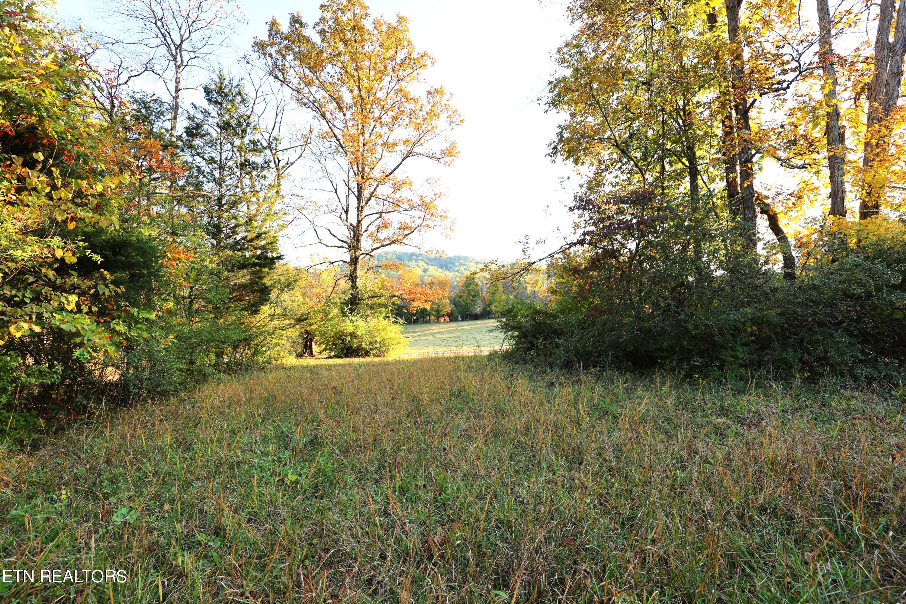 Haws Rd Property Photo 1