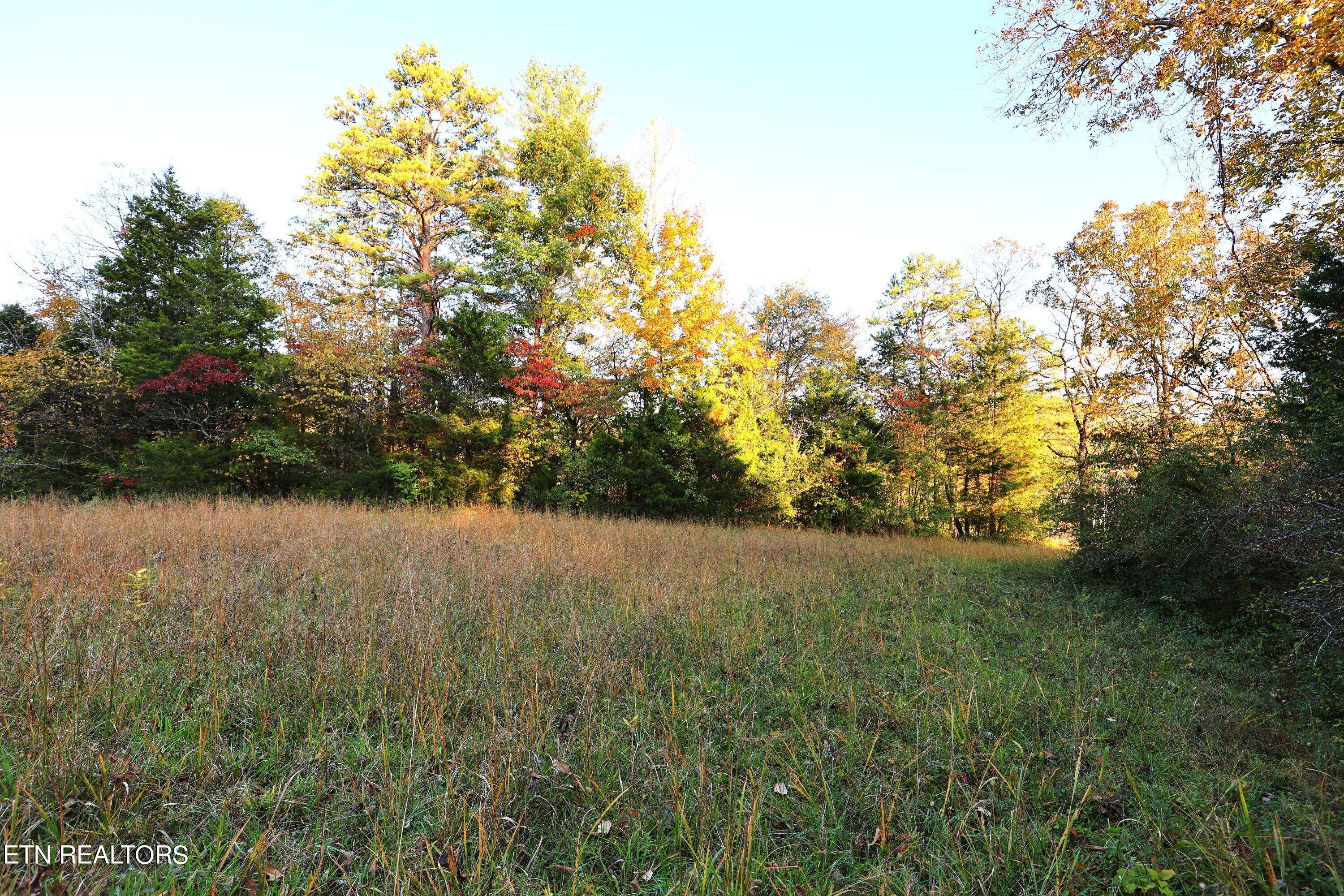 Haws Rd Property Photo 3