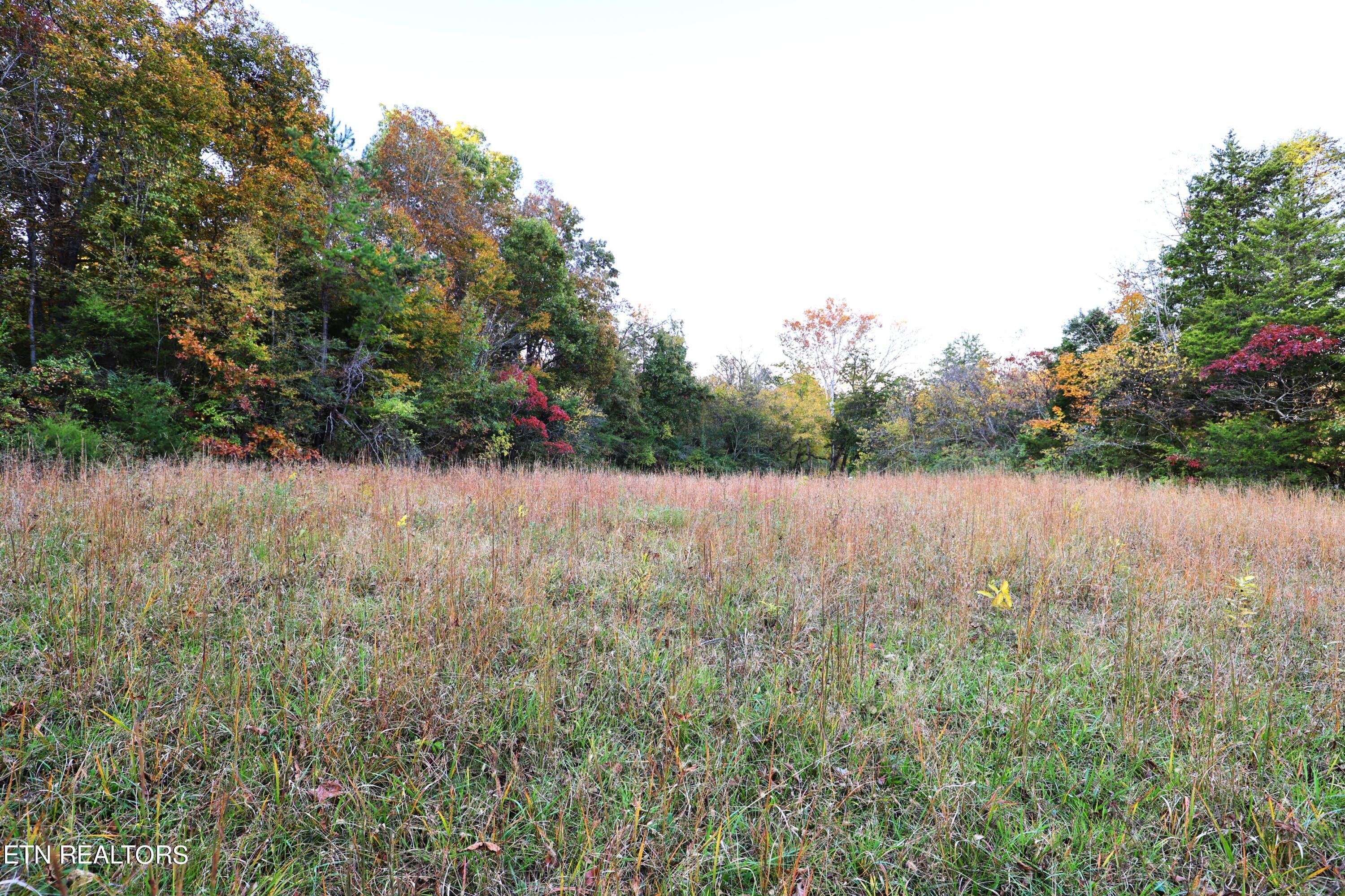 Haws Rd Property Photo 4