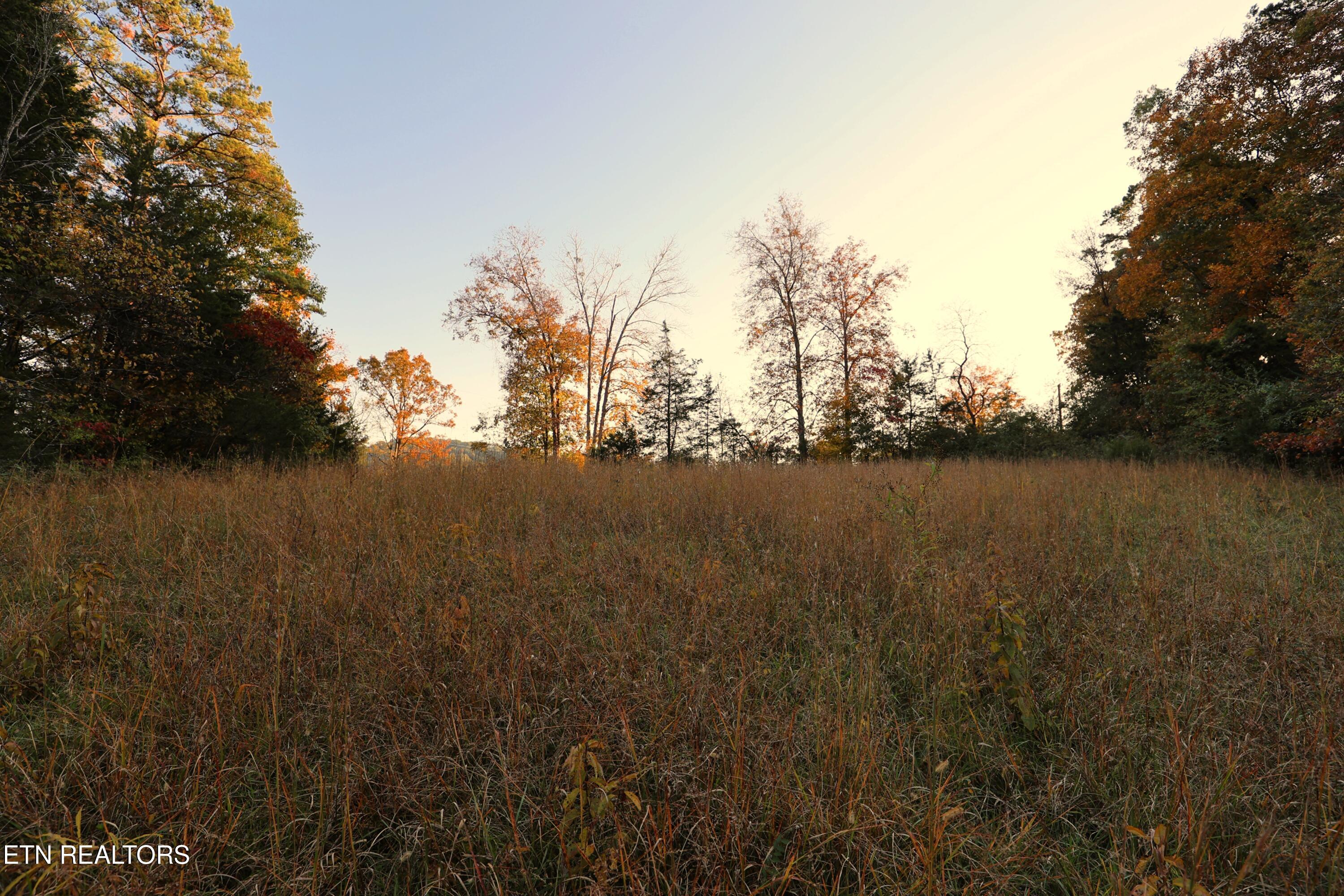 Haws Rd Property Photo 6