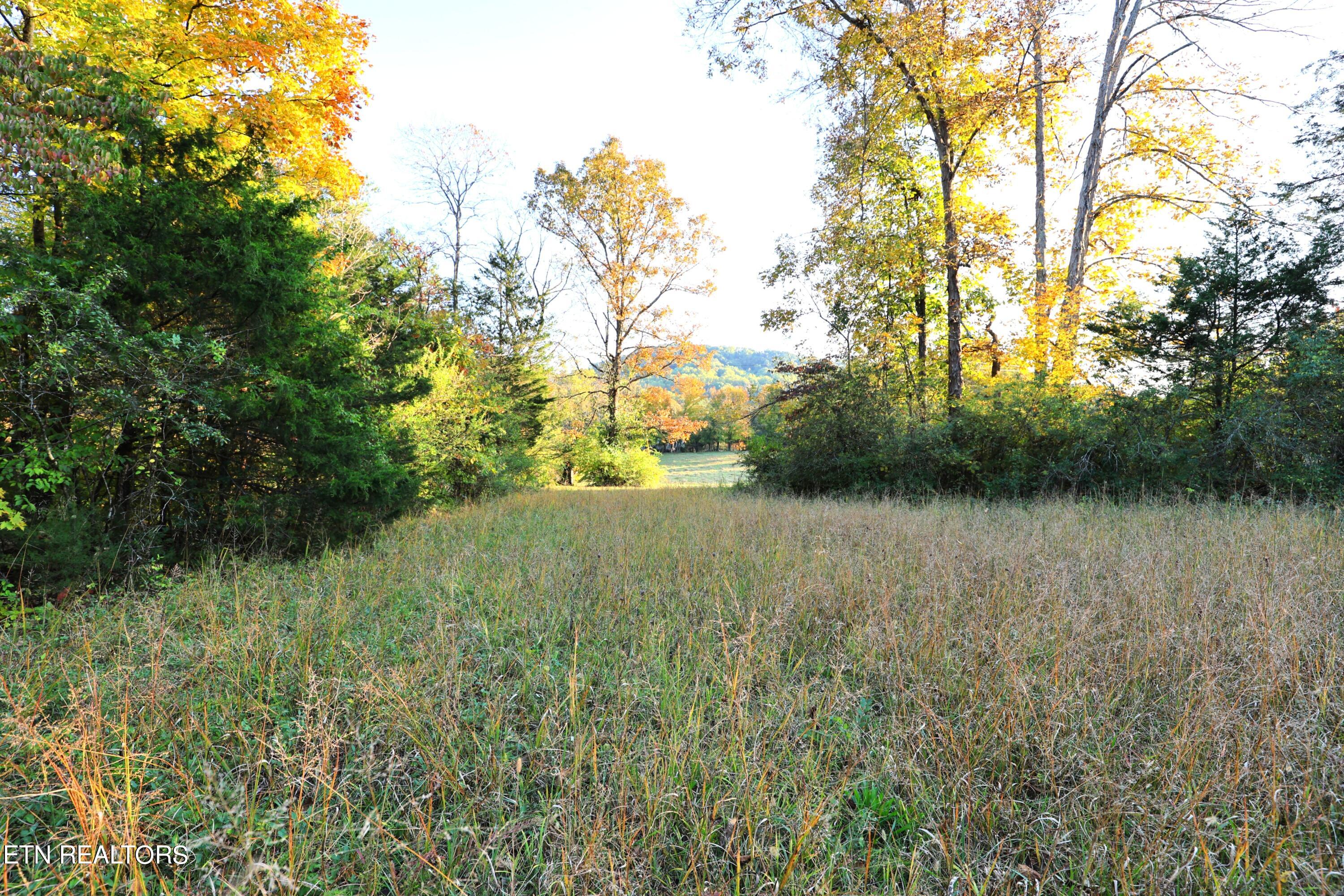 Haws Rd Property Photo 7