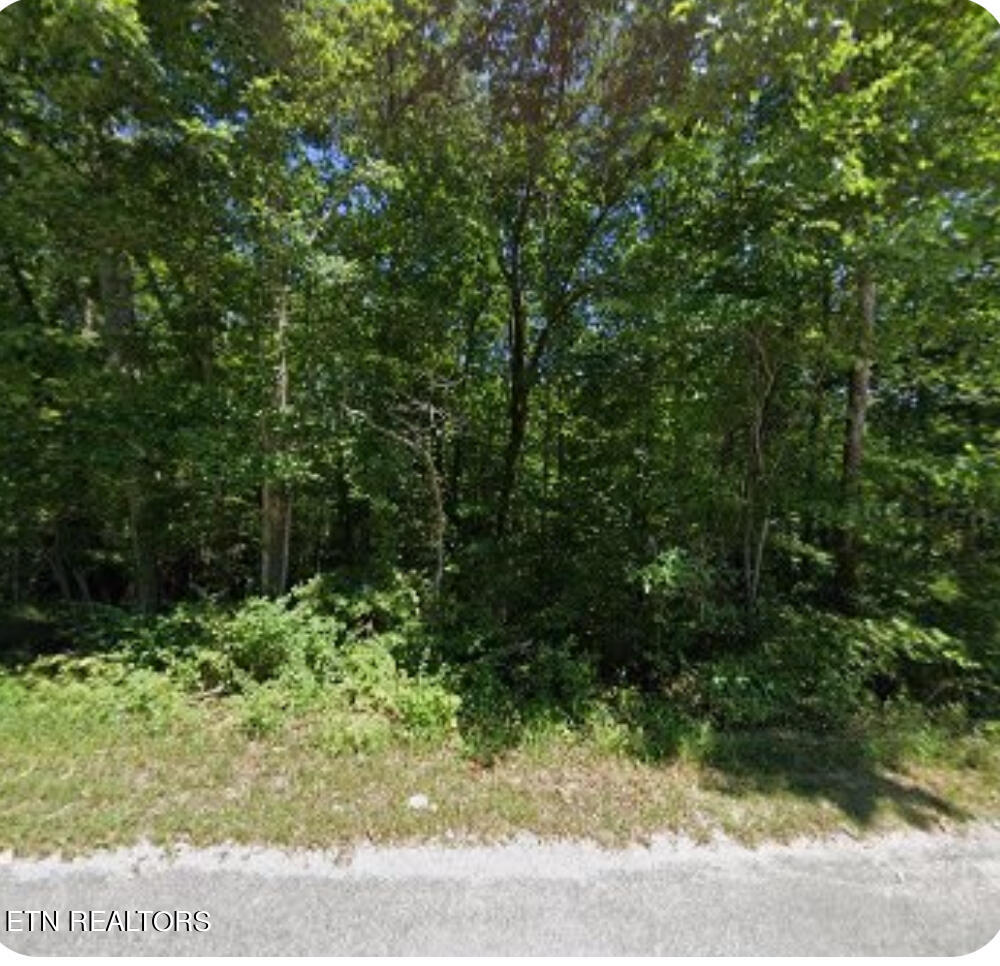 5027 Ostego Drive Property Photo 1