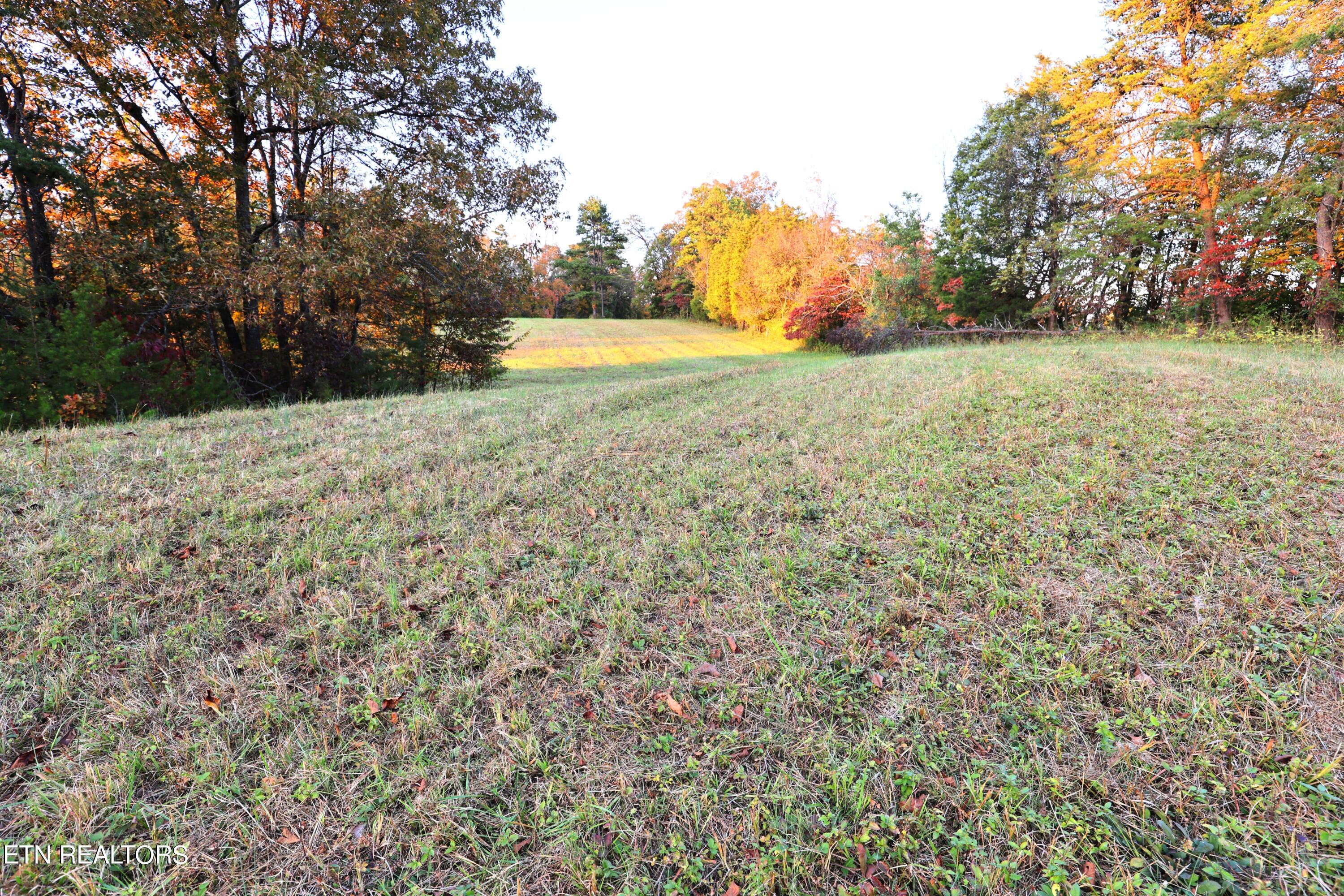 Tract C Tipton Station Rd Property Photo 3