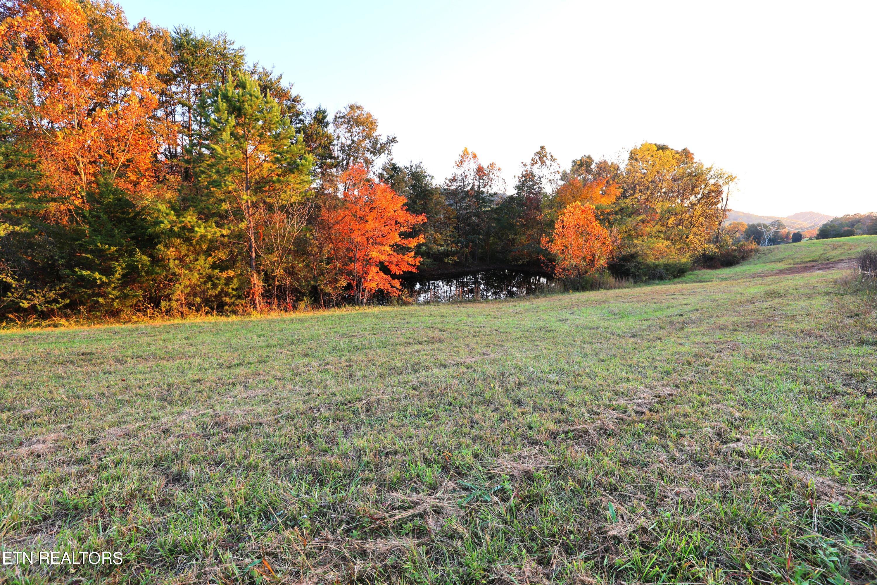 Tract C Tipton Station Rd Property Photo 6