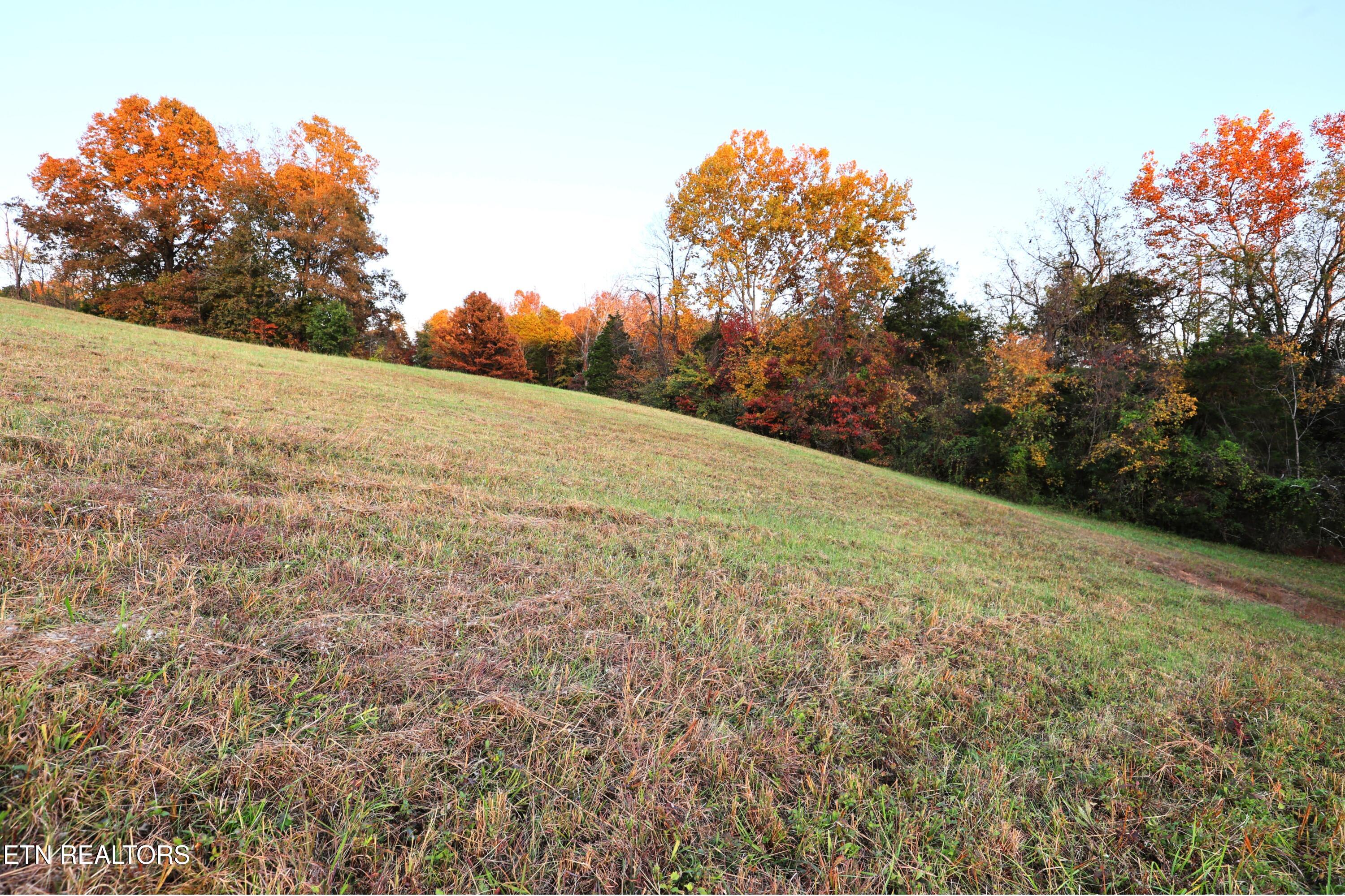 Tract C Tipton Station Rd Property Photo 11