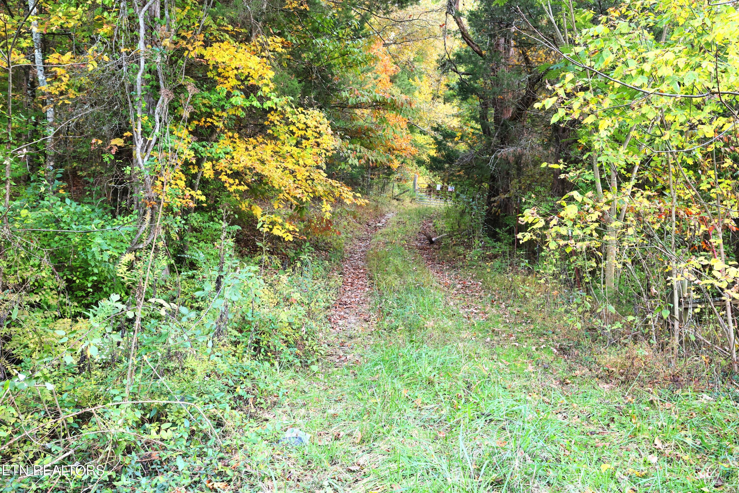 Tract C Tipton Station Rd Property Photo 14