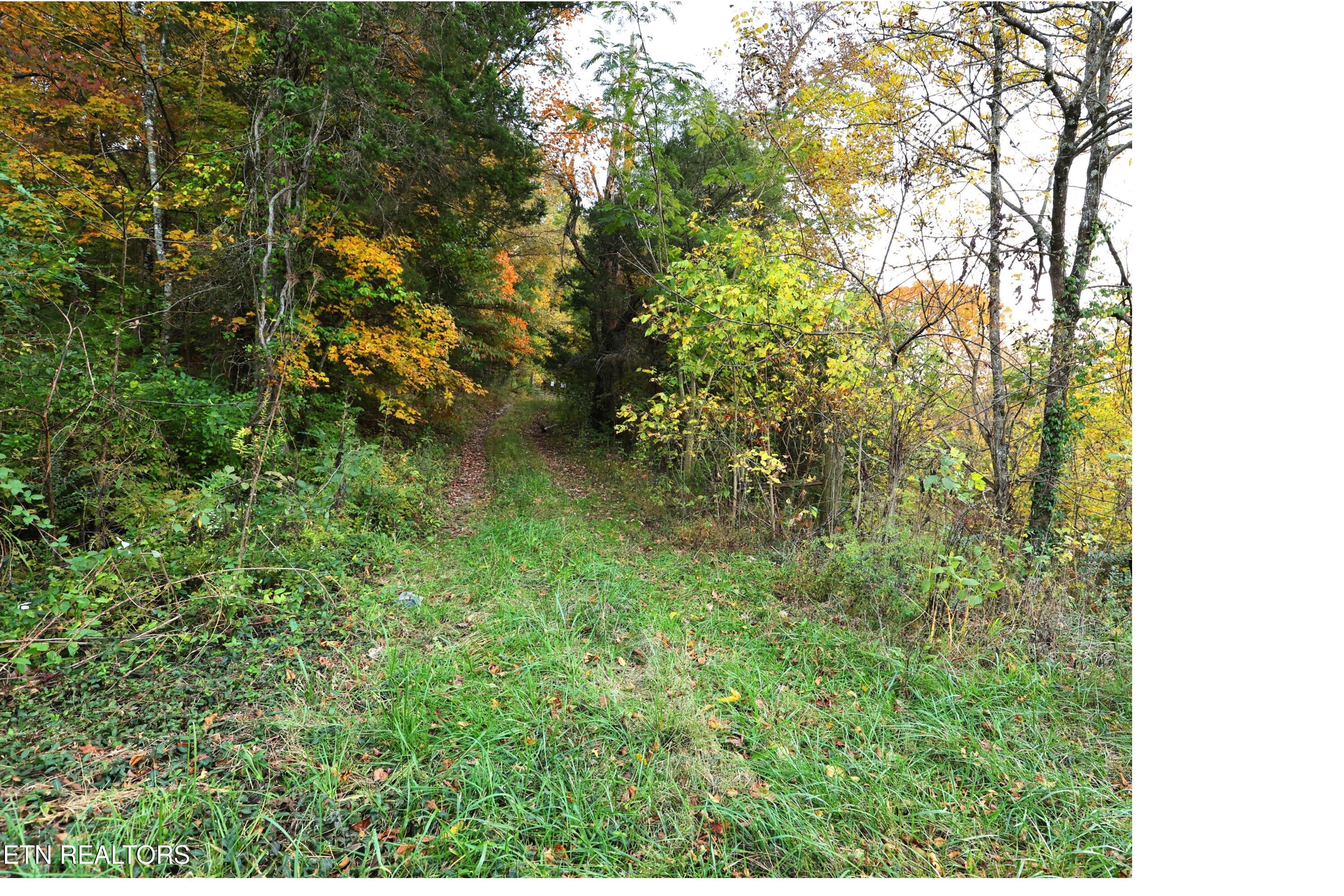 Tract C Tipton Station Rd Property Photo 15