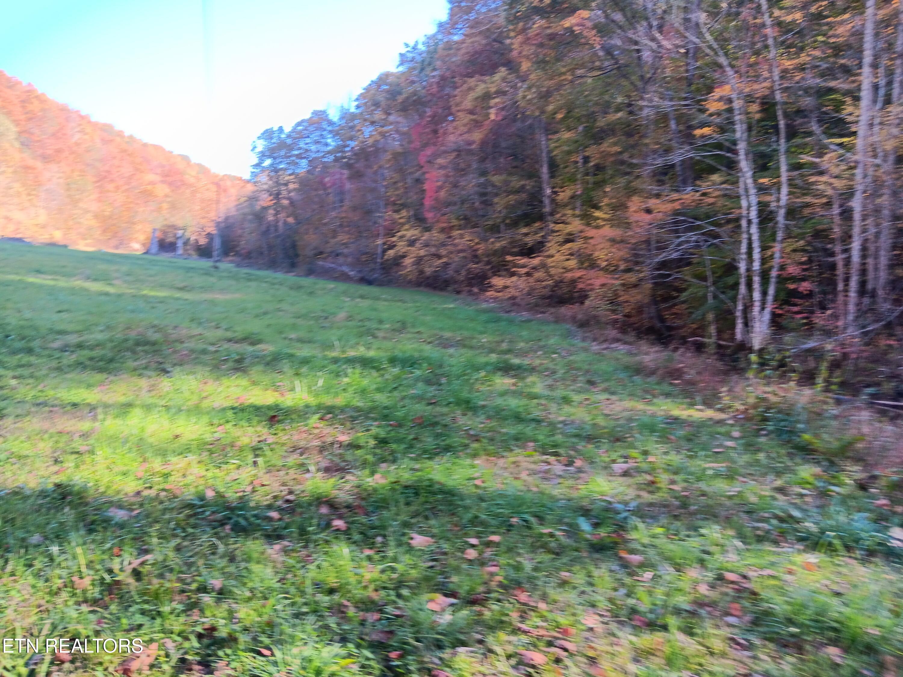 8845 Highway 66 Property Photo 4