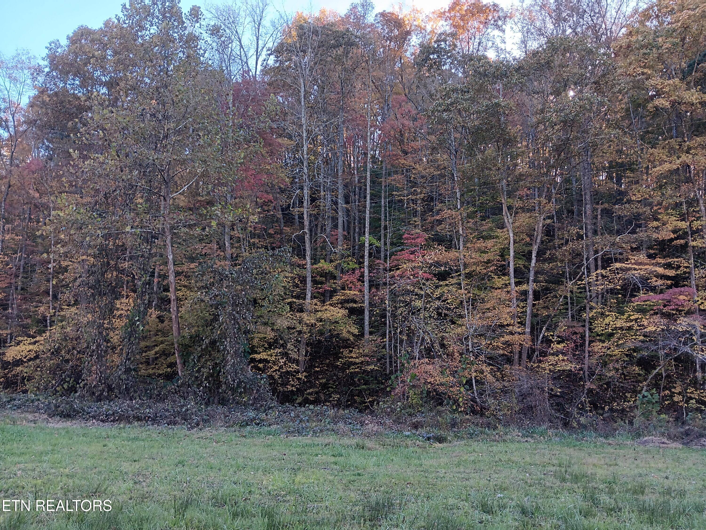 8845 Highway 66 Property Photo 9