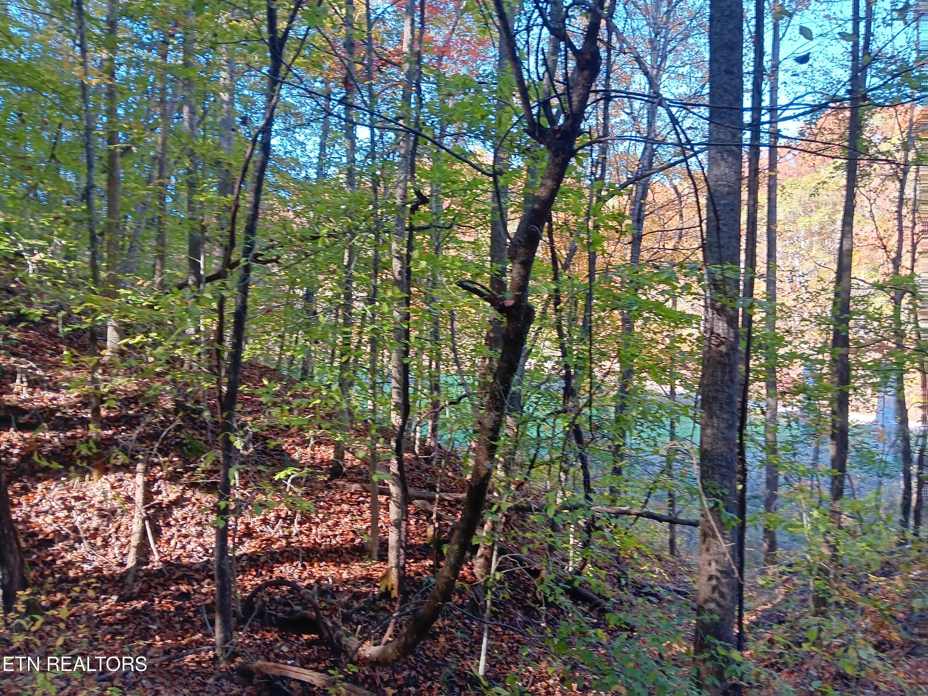 8845 Highway 66 Property Photo 19