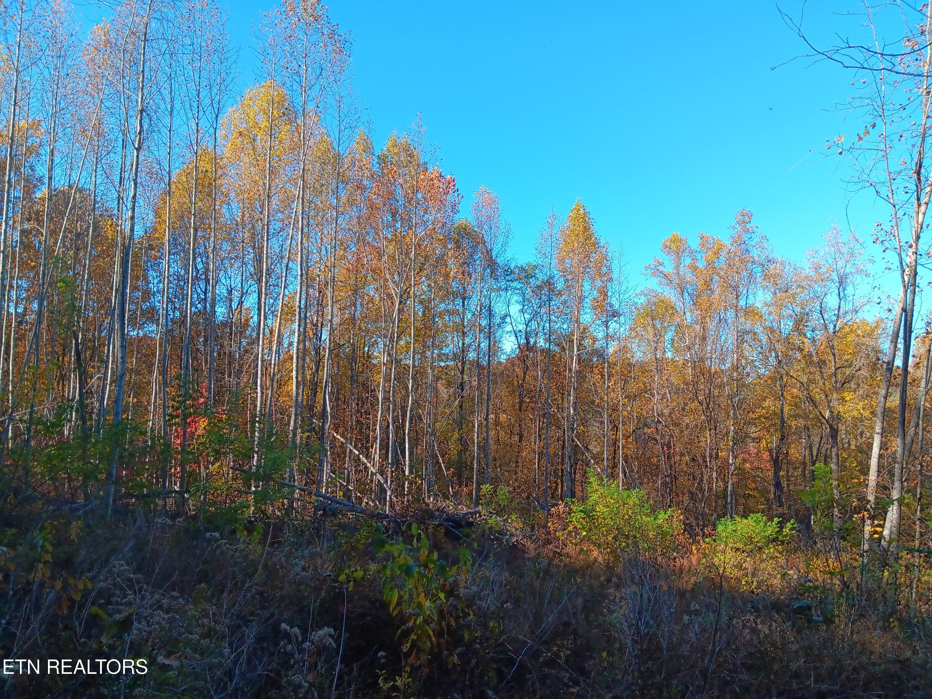 8845 Highway 66 Property Photo 25