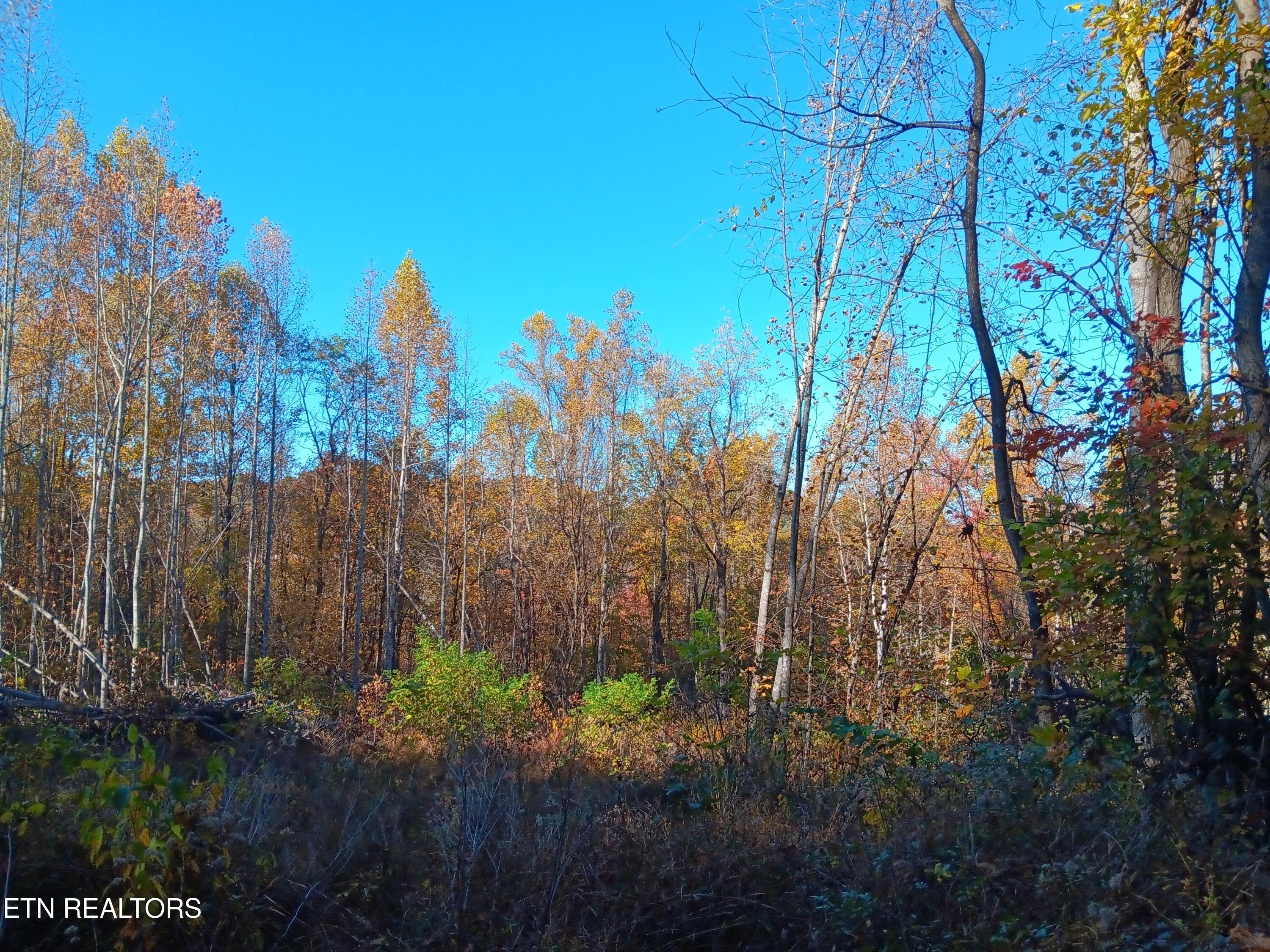 8845 Highway 66 Property Photo 26