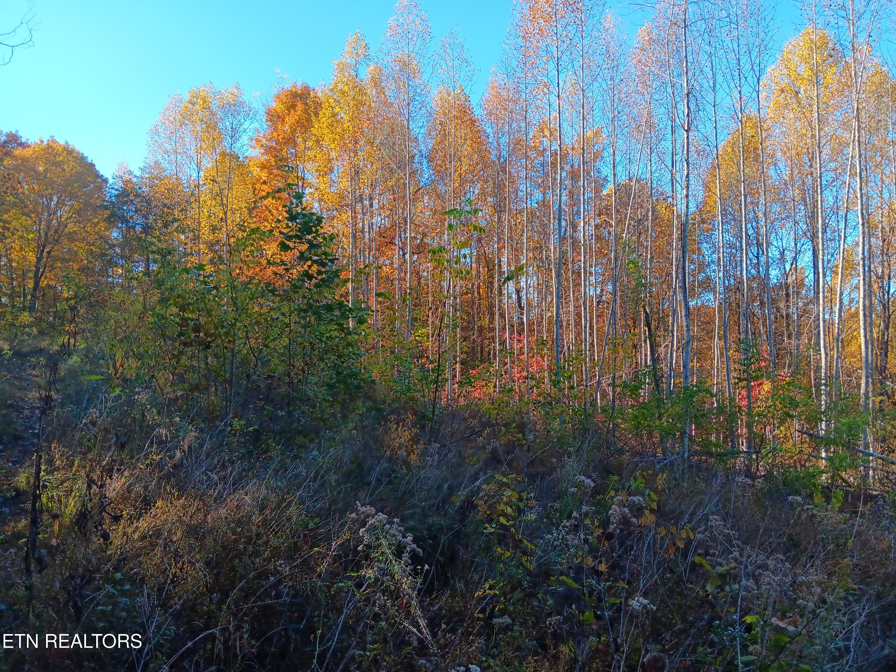 8845 Highway 66 Property Photo 27
