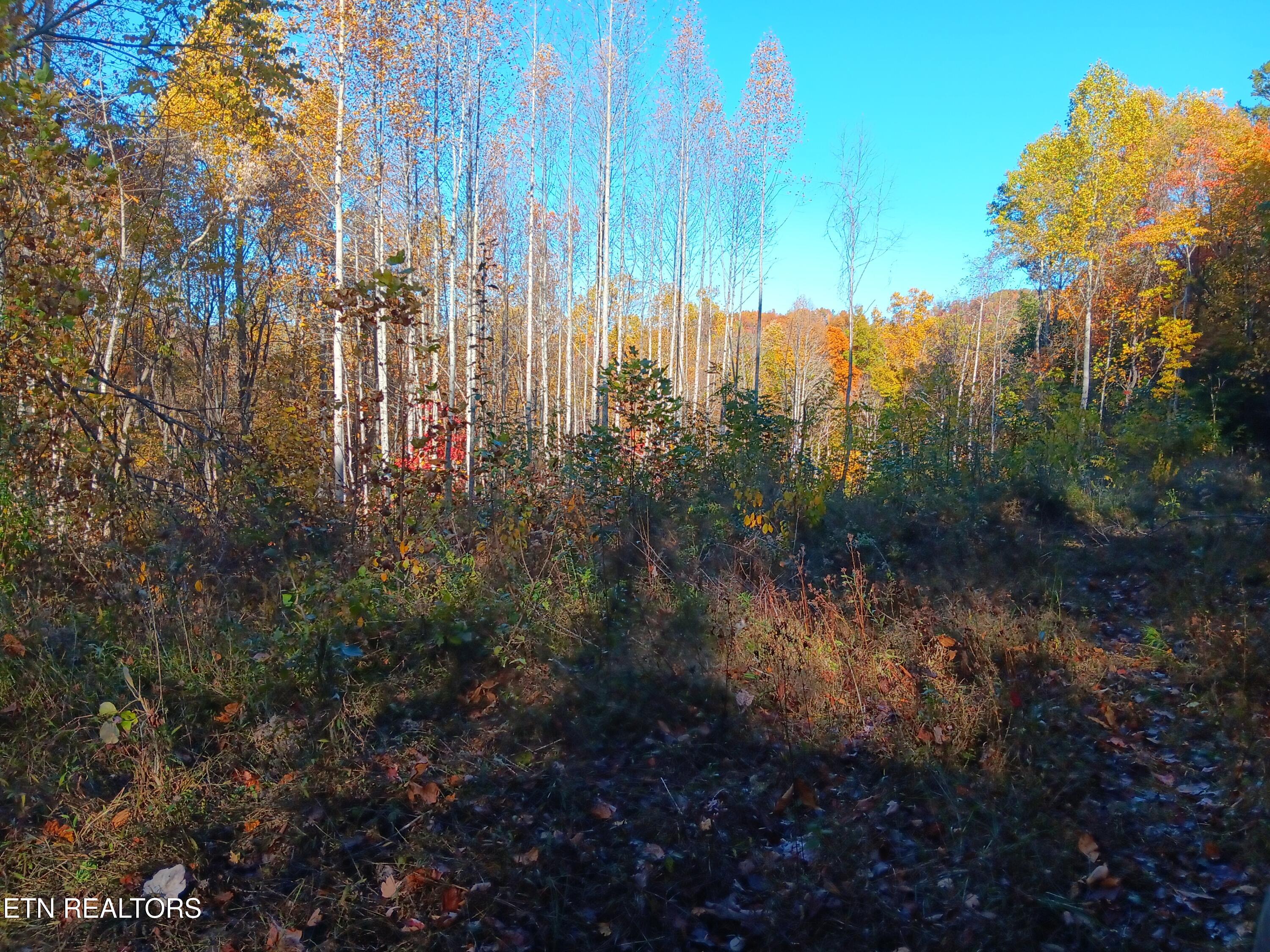 8845 Highway 66 Property Photo 30
