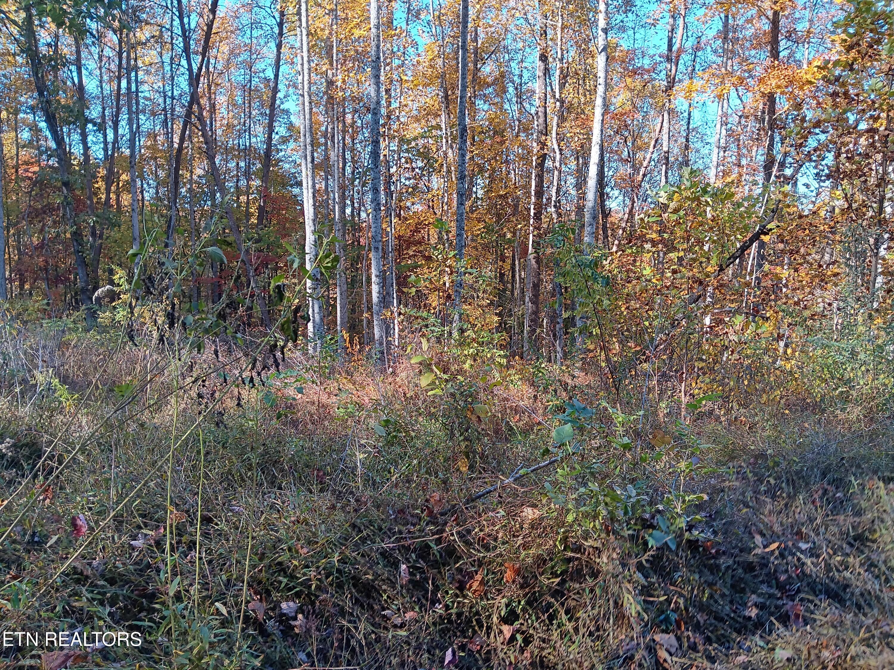 8845 Highway 66 Property Photo 31